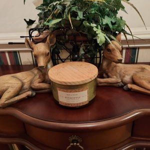 DW Home Herbs of Healing Eucalyptus Freshly Scented Candle NWT